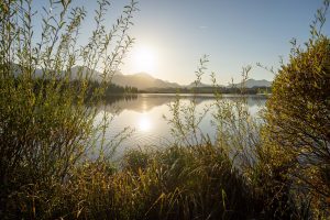 Ein Blick auf den See in Hopfen am See an einem schönen, sonnigen Herbsttag. Pflanzen verdecken einem ein bisschen die Sicht.